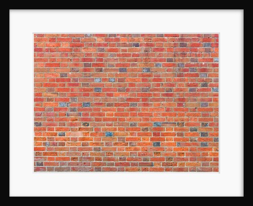 Brick wall by Assaf Frank